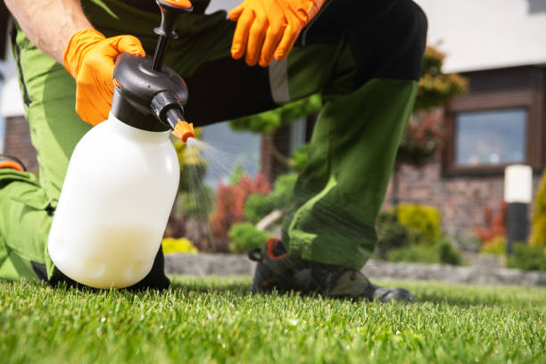 Best Pest Prevention Services  in Hermosa Beach, CA