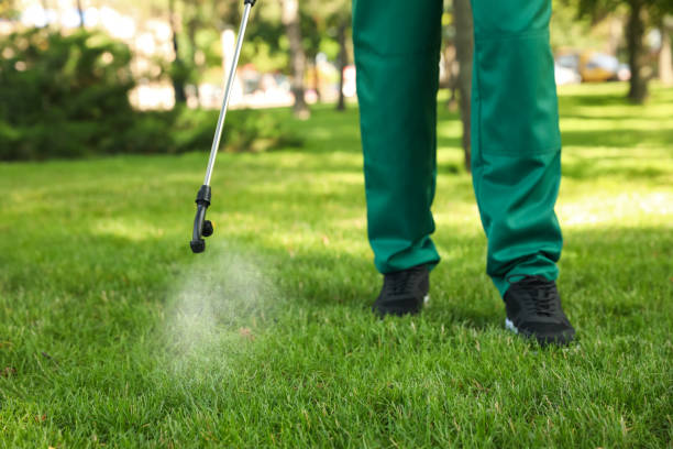 Best Exterminator Services  in Hermosa Beach, CA