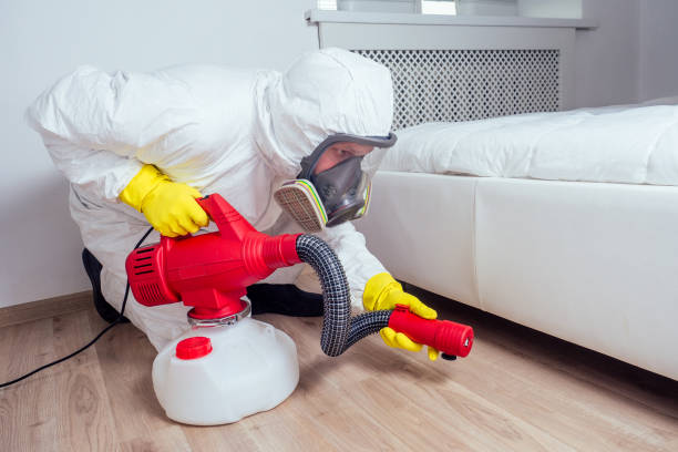 Best Mosquito Control Services  in Hermosa Beach, CA