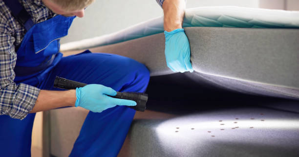 Best Wasp Removal Services  in Hermosa Beach, CA